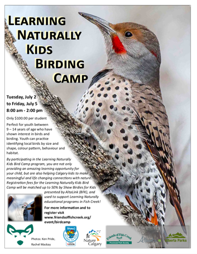 dragt patois Pris Learning Naturally Kids Bird Camp - Nature Calgary